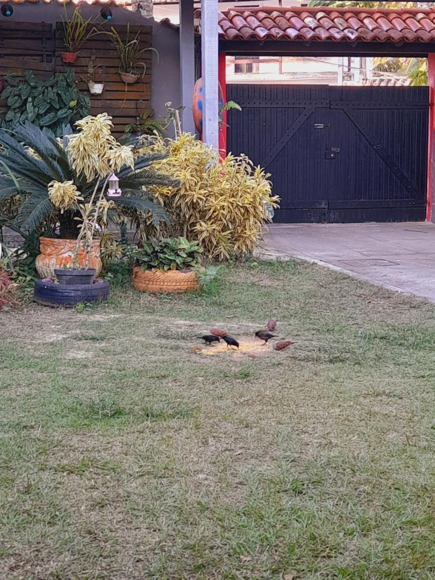 Pousada Flora Buzios Buitenkant foto