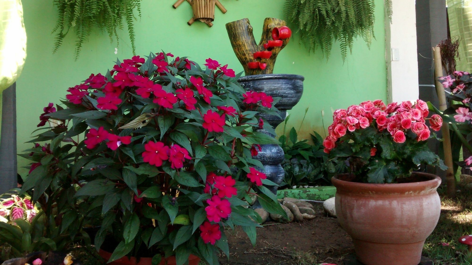 Pousada Flora Buzios Buitenkant foto